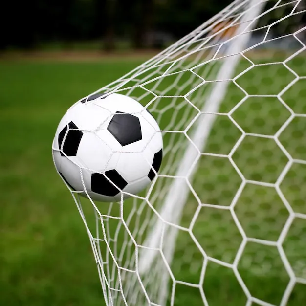 半岛体育合规说明与隐私保护